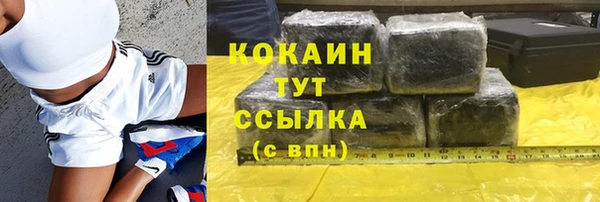 apvp Алексин