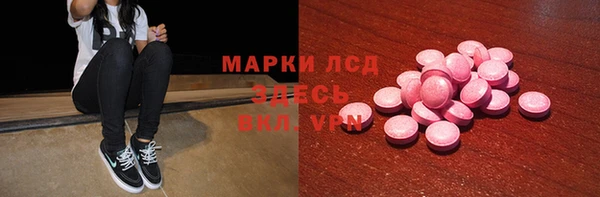 индика Алзамай