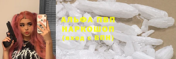 индика Алзамай
