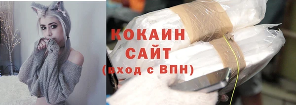 индика Алзамай