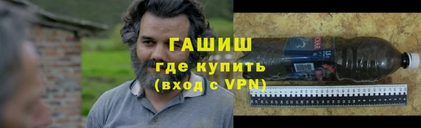 индика Алзамай