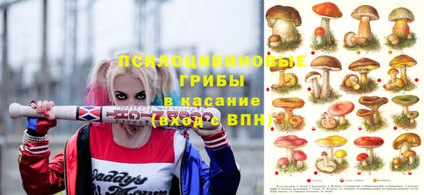 apvp Алексин